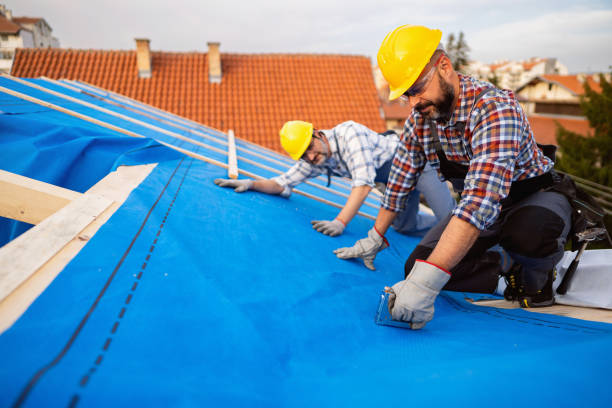 Best Roof Ventilation Installation  in Pickerington, OH
